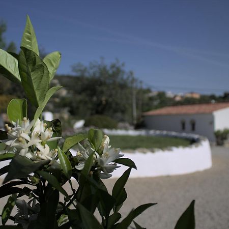 Suite Swimming Pool Quinta Da Eira 140 Years Old Loule Exterior photo